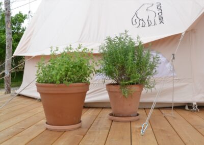 Glamping på Rødgaard - Udefra potteplanter